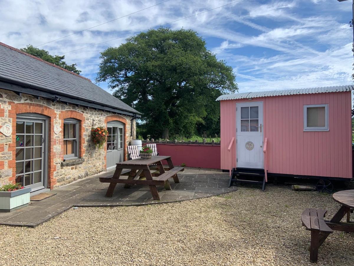 Swallow Cottage At Duffryn Mawr Cottages 翰索 外观 照片