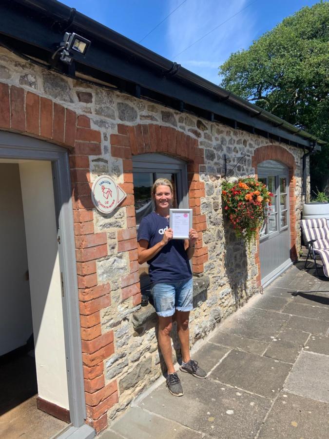 Swallow Cottage At Duffryn Mawr Cottages 翰索 外观 照片