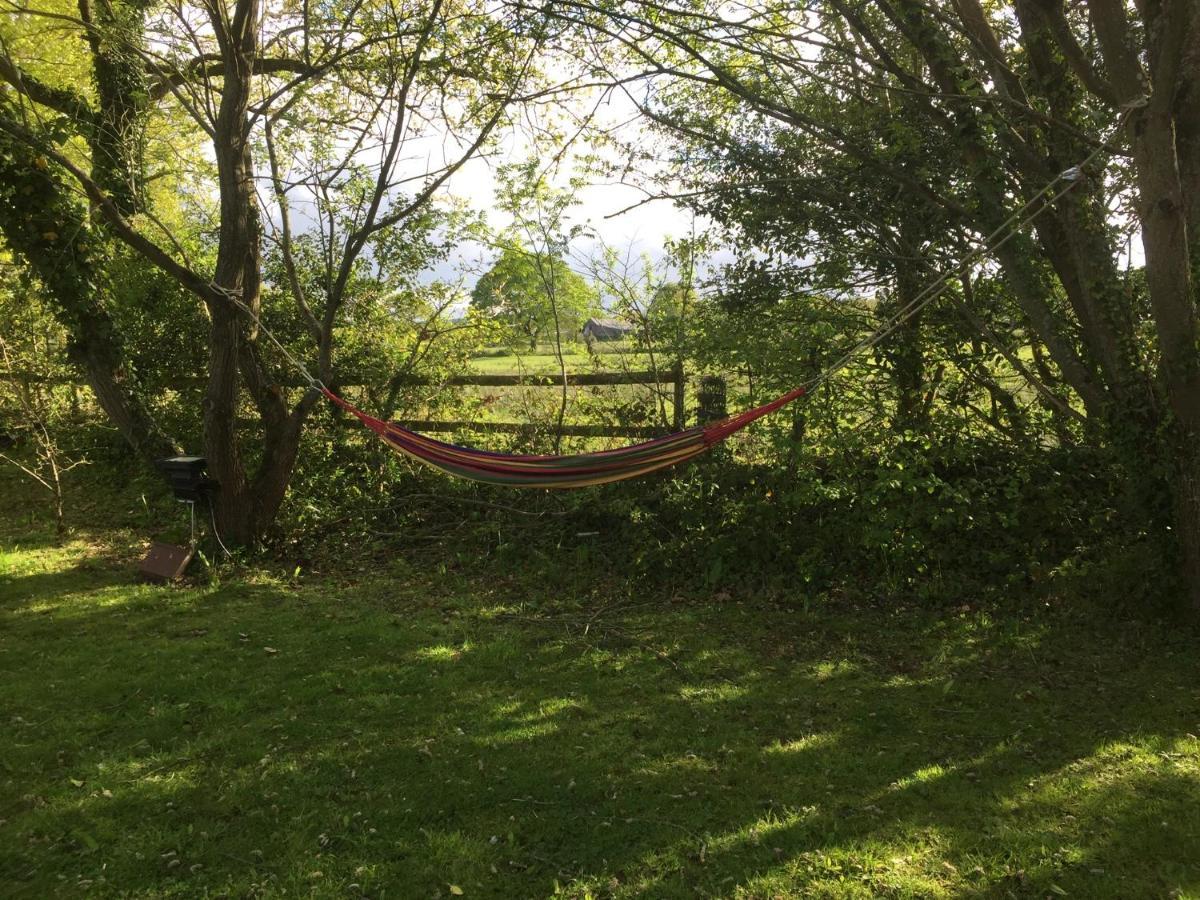 Swallow Cottage At Duffryn Mawr Cottages 翰索 外观 照片
