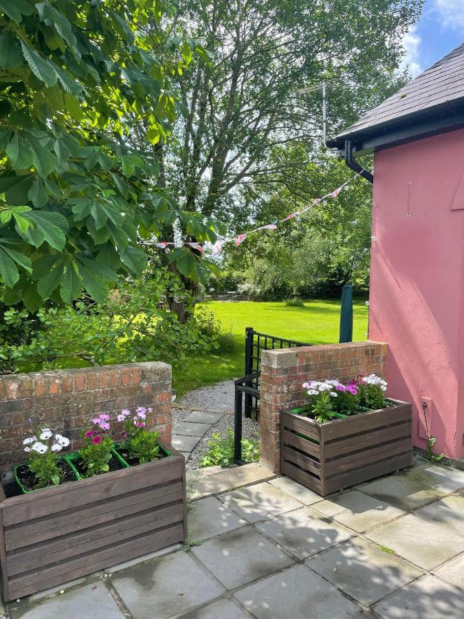 Swallow Cottage At Duffryn Mawr Cottages 翰索 外观 照片