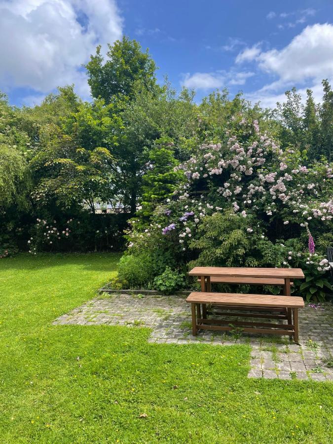 Swallow Cottage At Duffryn Mawr Cottages 翰索 外观 照片