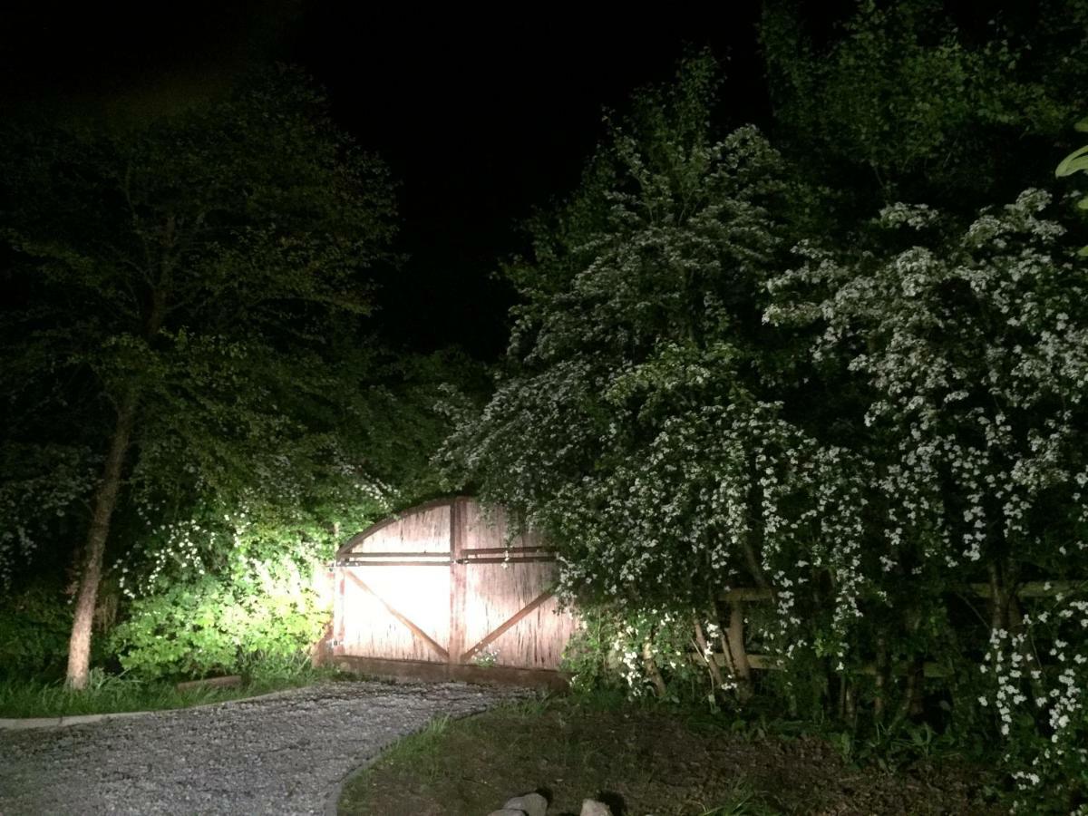 Swallow Cottage At Duffryn Mawr Cottages 翰索 外观 照片